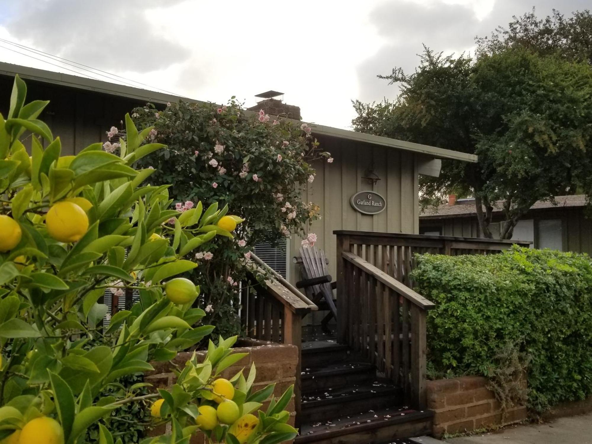 Carmel Valley Lodge מראה חיצוני תמונה