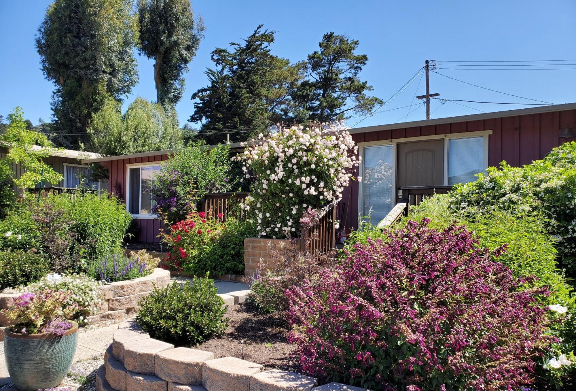 Carmel Valley Lodge מראה חיצוני תמונה
