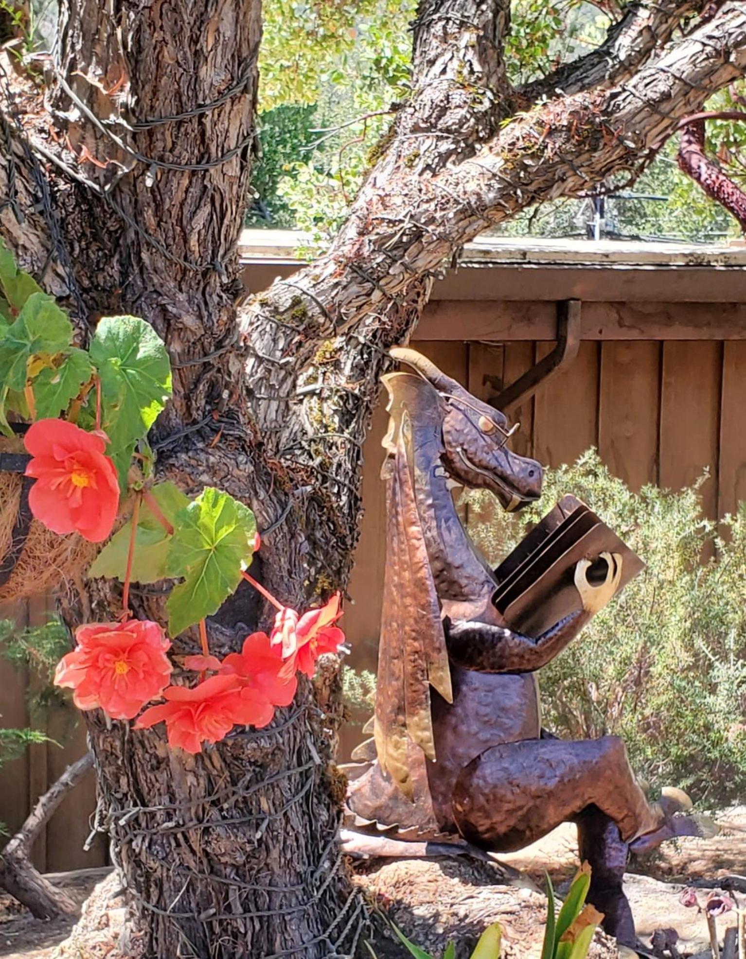 Carmel Valley Lodge מראה חיצוני תמונה